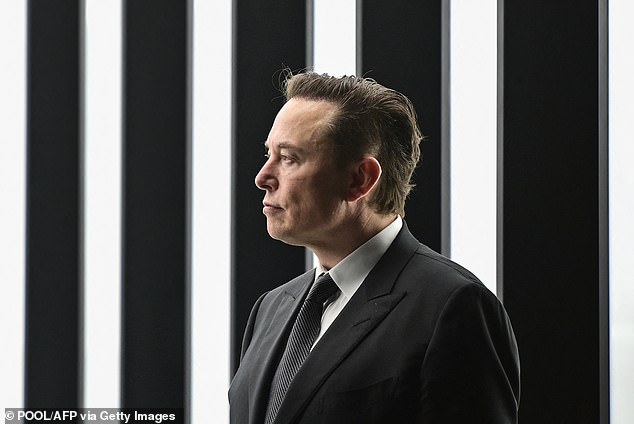 Laut einem neuen Bericht hat eine inoffizielle Gruppe libertärer Aktivisten und Unternehmer Elon Musk aufgefordert, seine 44-Milliarden-Dollar-Twitter-Übernahme zu starten.