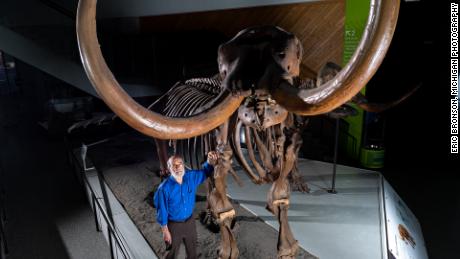 Der Paläontologe Daniel Fisher von der University of Michigan posiert mit einem zusammengesetzten Skelett eines Büsching-Mastodons.  Fotografie durch Eric Bronson, Michigan-Fotografie.