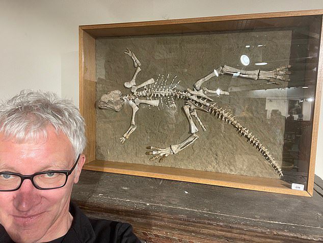 Der 54-jährige Mann (im Bild Tom Holland) ging mit seinem Vater zum Verkauf bei Woolley & Wallis in Salisbury, Walts, um eine Präsentation über das Skelett eines Psittacosarus (Papageieneidechse) von 97,5 bis 119 Millionen Jahren zu halten .