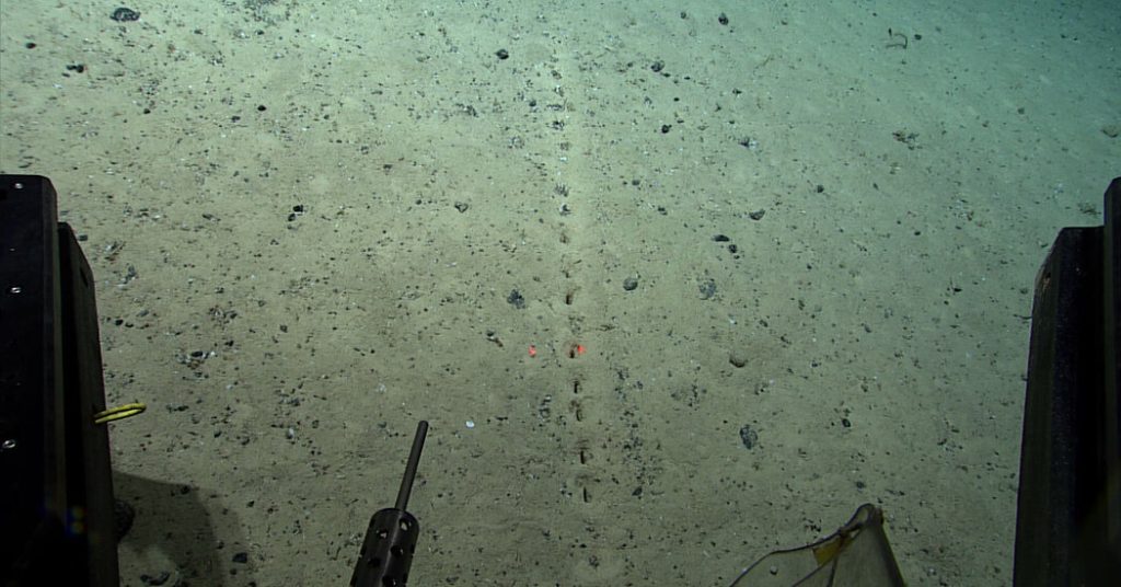 Es gibt Löcher auf dem Meeresboden.  Wissenschaftler wissen nicht warum.