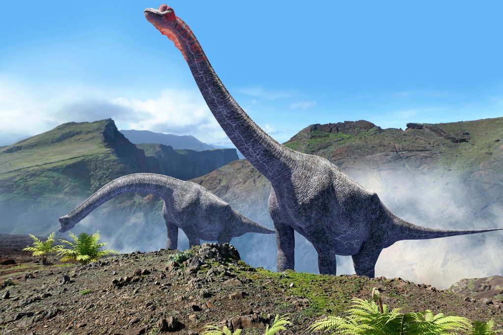 Das Skelett gehörte wahrscheinlich einem Sauropoden-Dinosaurier, der vor 160 bis 100 Millionen Jahren das Gebiet des modernen Portugal durchstreifte. 