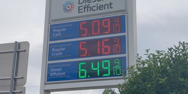 Tankstellenpreise in New Jersey (Megan Myers / Fox News Digital)