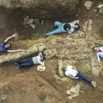 Plesiosaurus: Fossilienjäger in Australien haben ein 100 Millionen Jahre altes Skelett entdeckt