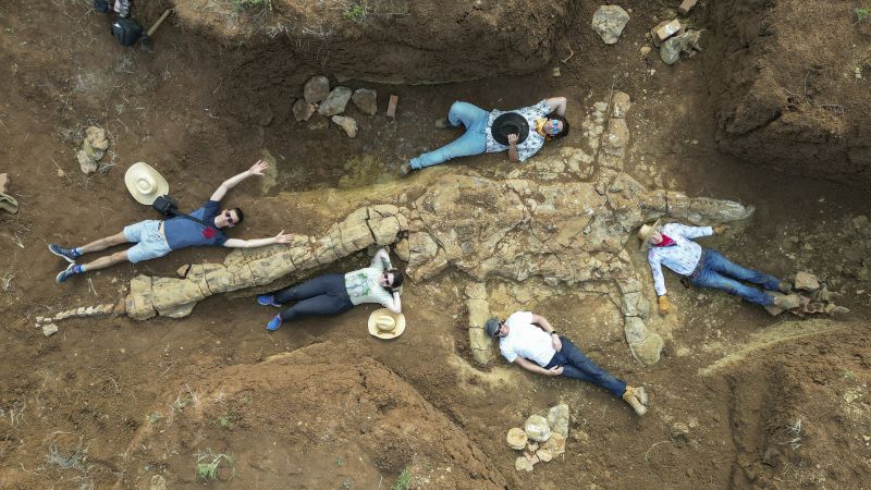 Plesiosaurus: Fossilienjäger in Australien haben ein 100 Millionen Jahre altes Skelett entdeckt