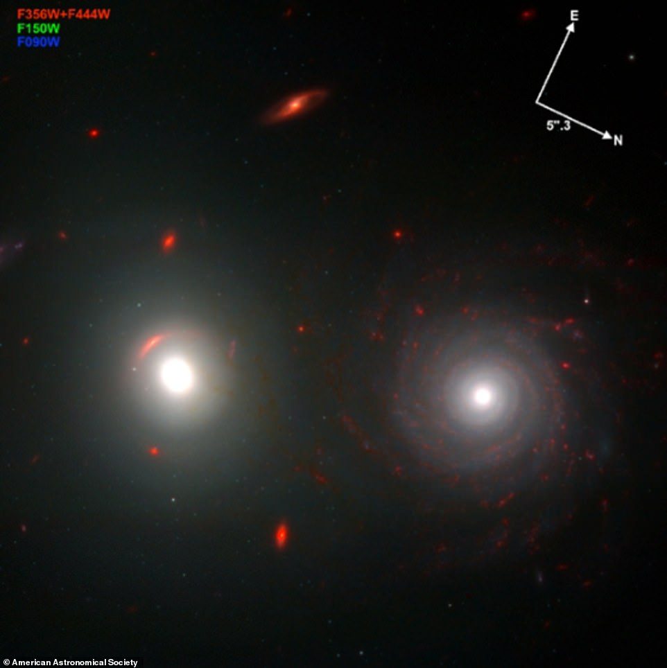 Das Bild zeigt auch einzelne Kugelsternhaufen um entfernte elliptische Galaxien und sternbildende Knoten innerhalb von Spiralgalaxien (im Bild).
